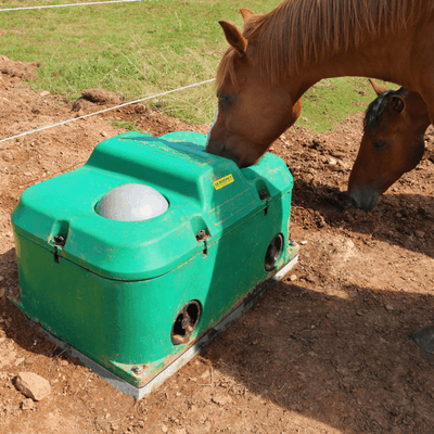 Abreuvement - Abreuvoirs et accessoires - Abreuvoir antigel isotherme THERMOLAC 2 boules