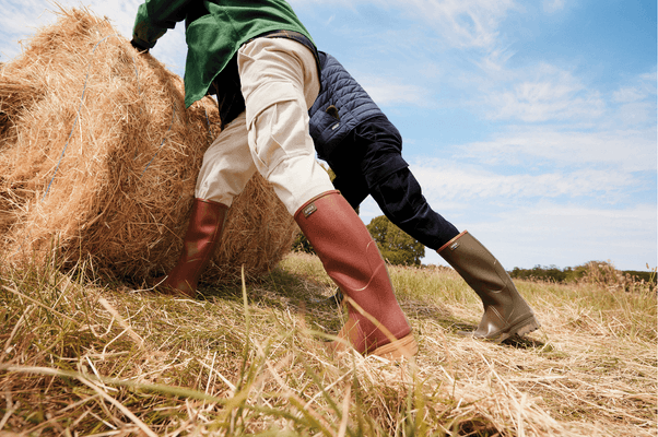 Equipement et protection individuelle - Bottes - Bottes CHAMBORD PRO 2