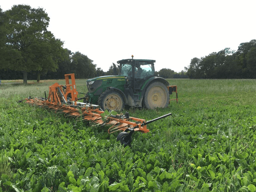 Entretien - Binage, désherbage - Ecimeuse SELAC