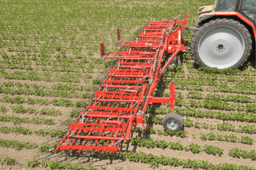 Entretien - Herse prairie - Herse étrille AEROSTAR CLASSIC