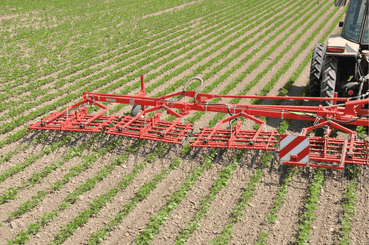 Entretien - Herse prairie - Herse étrille AEROSTAR CLASSIC